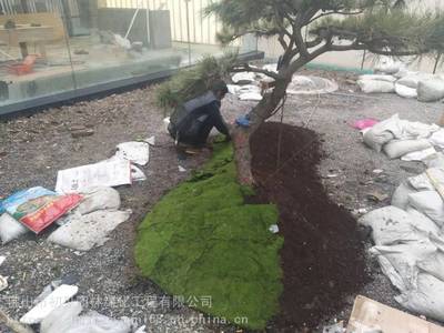 初見(jiàn)園林 專(zhuān)業(yè)園林綠化工程與精湛別墅園林施工