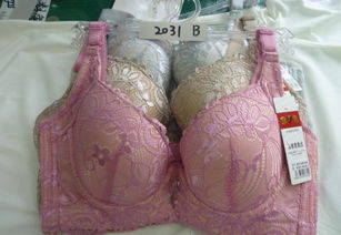 批發(fā)優(yōu)質(zhì)品牌文胸，舒適柔軟，廠家直供，價(jià)格實(shí)惠，圖片實(shí)拍